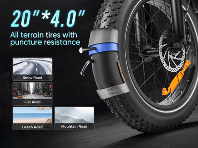 LOTDM200-II Fat Tire Electric Mountain Bike