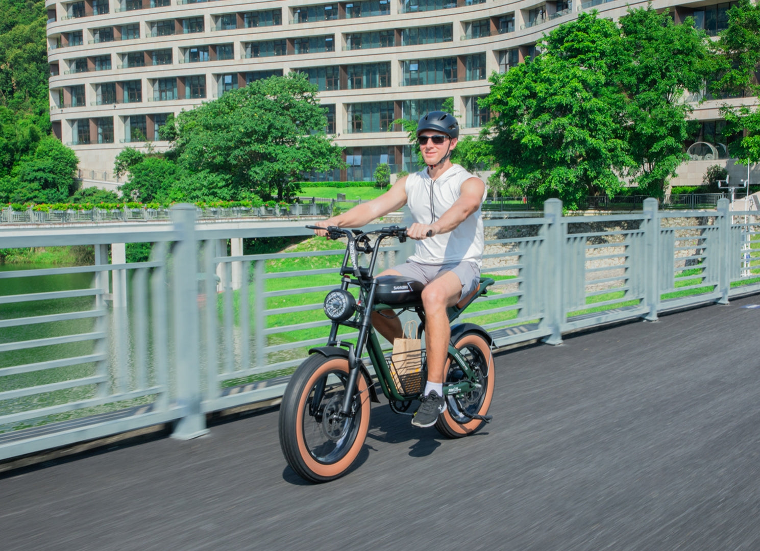 M20 Retro Street Electric Bicycle