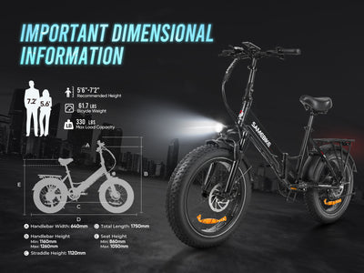 LOTDM200-II Fat Tire Electric Mountain Bike