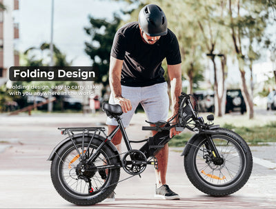 LOTDM200-II Fat Tire Electric Mountain Bike