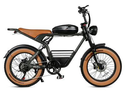 M20 1200W Electric Bike SAMEBIKE