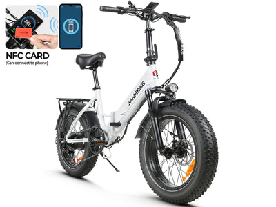 LOTDM200-II Fat Tire Electric Mountain Bike