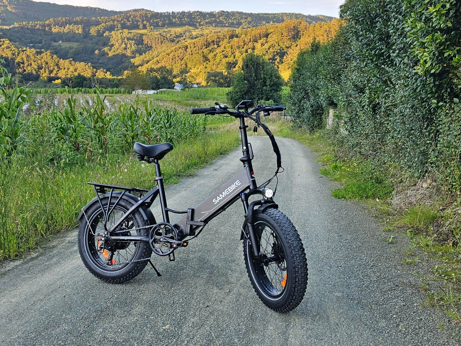 LOTDM200-II Fat Tire Electric Mountain Bike