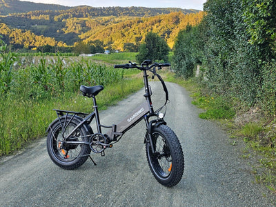 LOTDM200-II Fat Tire Electric Mountain Bike