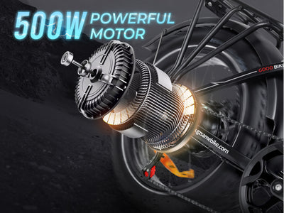 LOTDM200-II Fat Tire Electric Mountain Bike