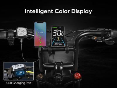 M20 Retro Street Electric Bicycle